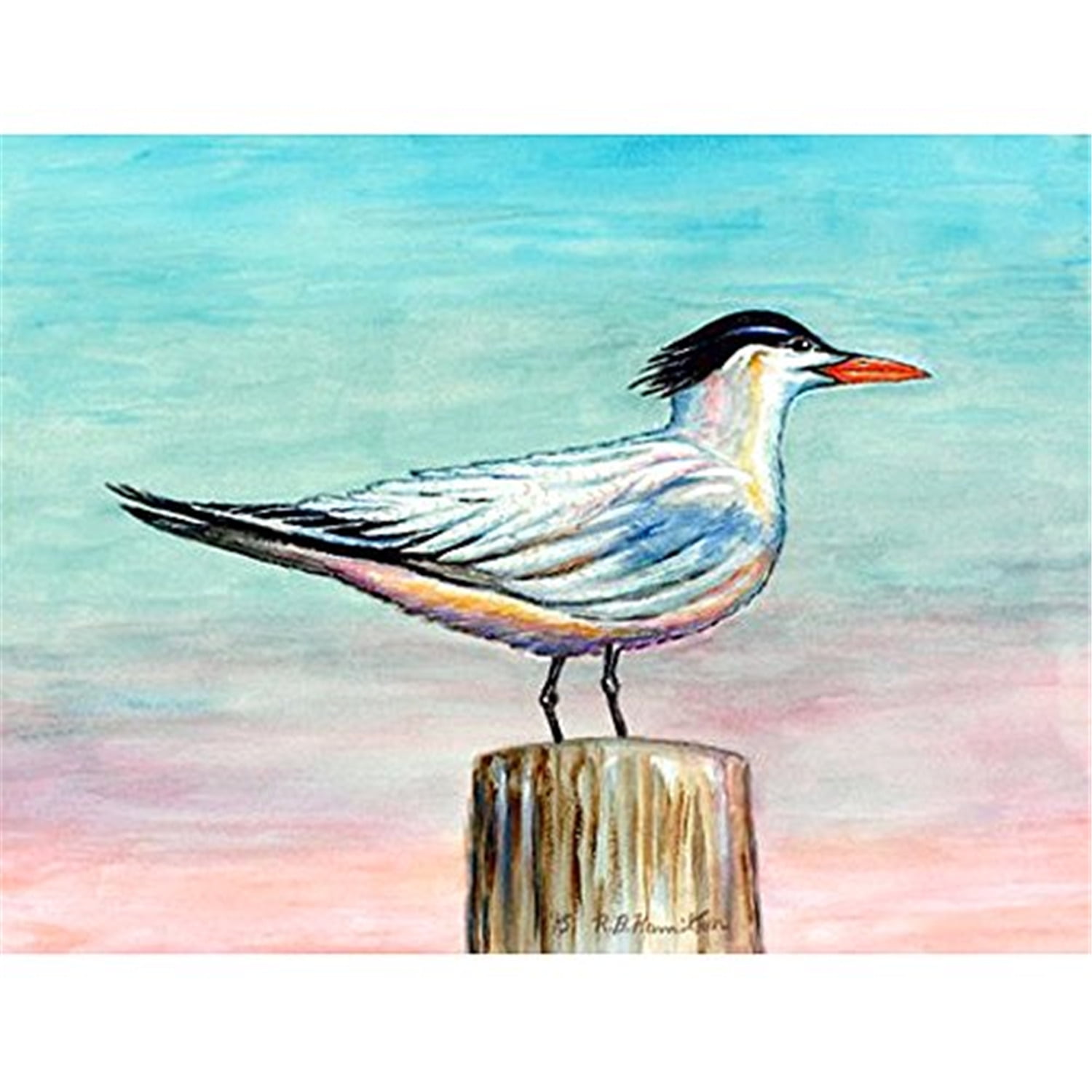 Picture of Betsy Drake PM951 Royal Tern Place Mat - Set of 4