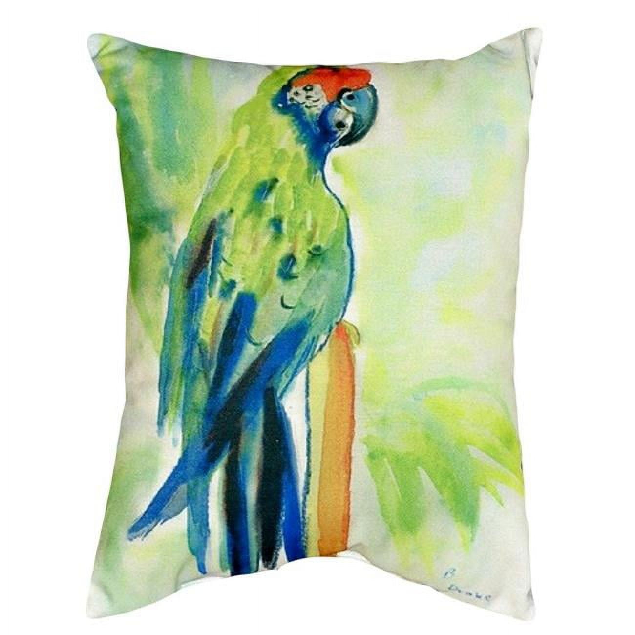 16 x 20 in. Green Parrot No Cord Pillow