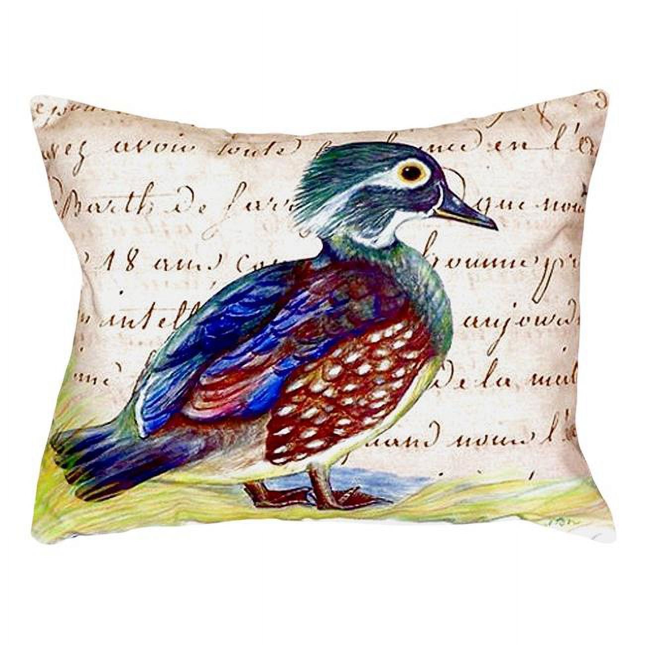 16 x 20 in. Female Wood Duck Script No Cord Pillow
