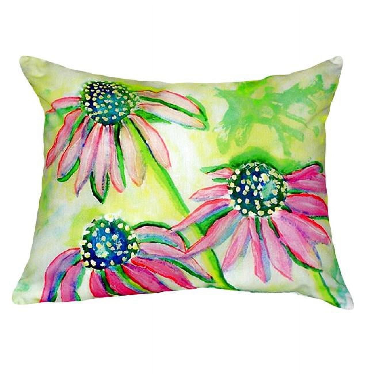 16 x 20 in. Cone Flowers No Cord Pillow