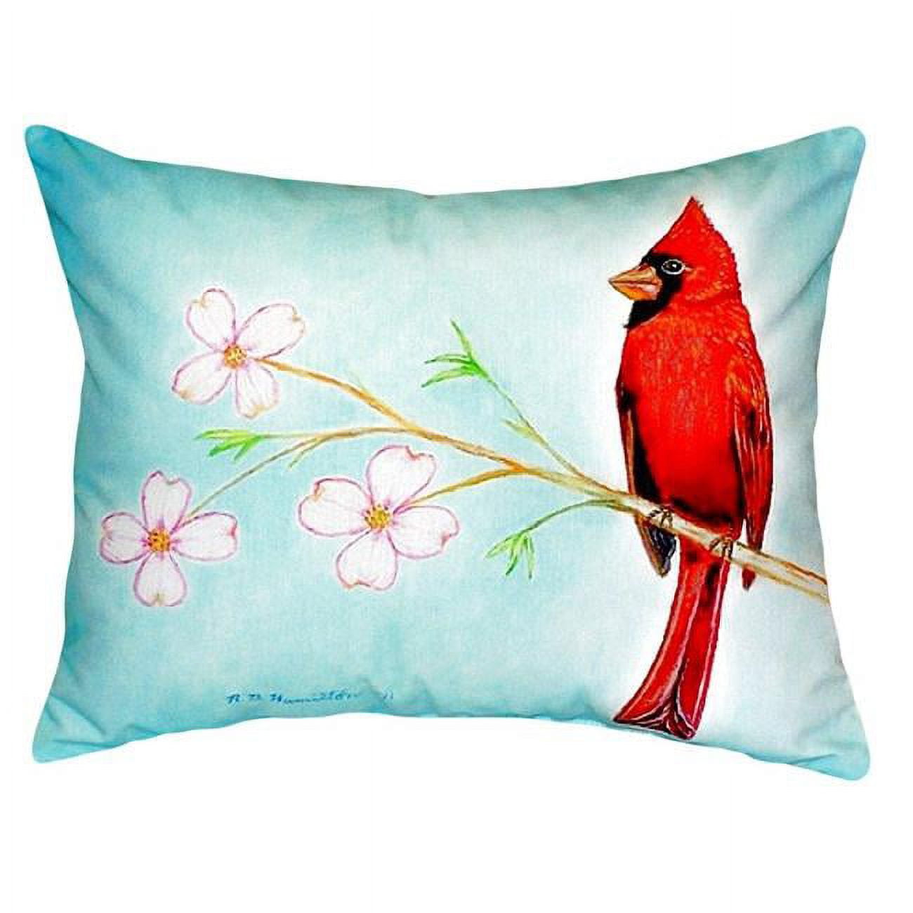 16 x 20 in. Dicks Cardinal No Cord Pillow