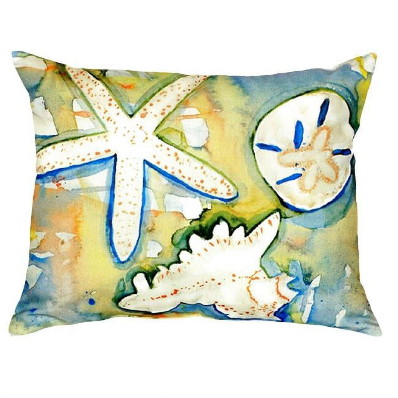 16 x 20 in. Beach Treasures No Cord Pillow