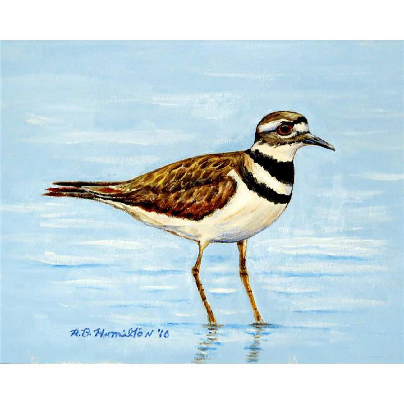 PM546 Killdeer Place Mat - Set of 4
