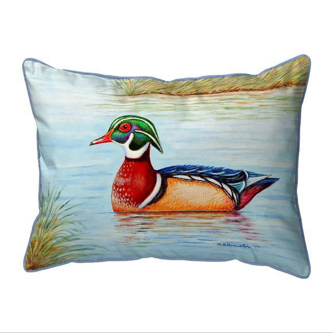 20 x 24 in. Male Wood Duck II Extra Large Pillow