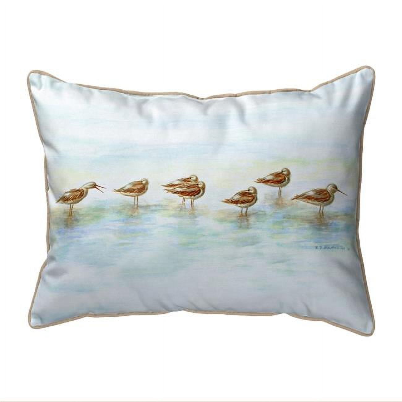 11 x 14 in. Avocets Small Indoor & Outdoor Pillow