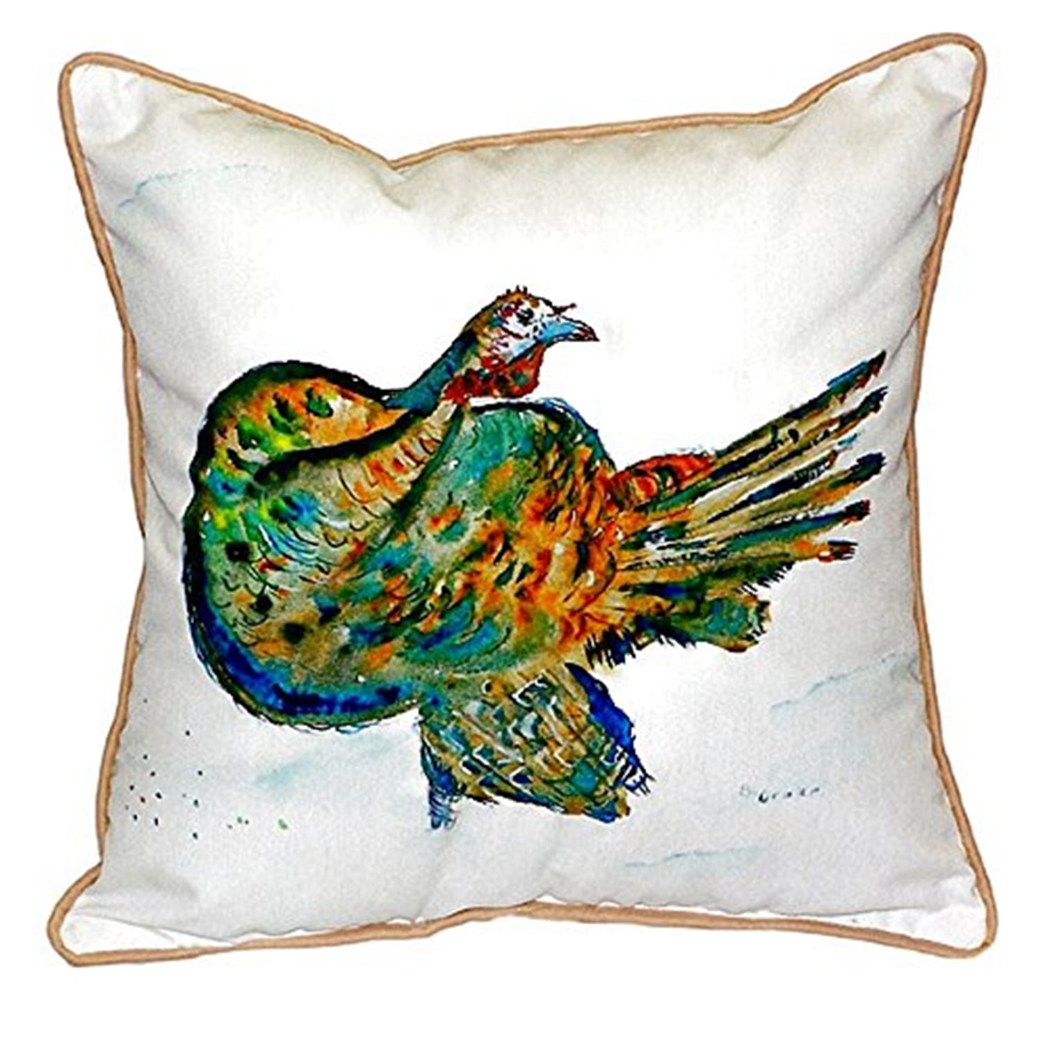 12 x 12 in. Turkey Small Indoor & Outdoor Pillow