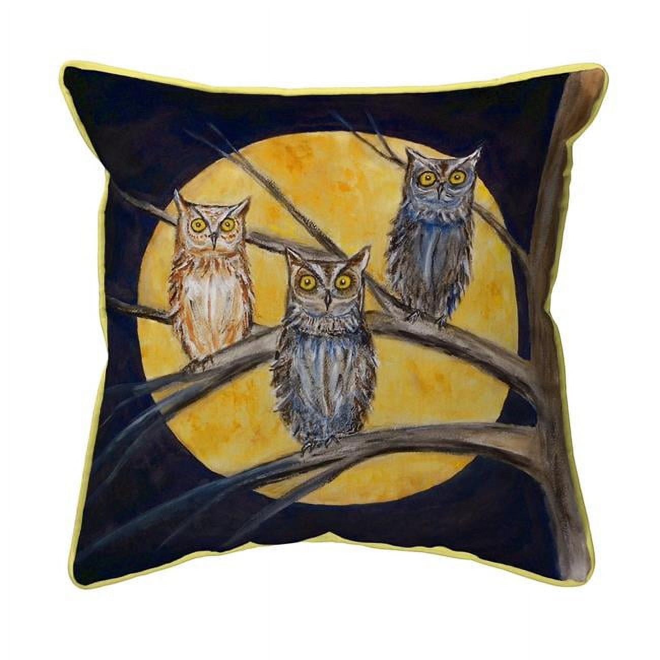 12 x 12 in. Night Owls Small Indoor & Outdoor Pillow