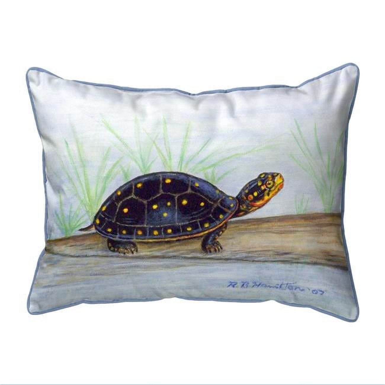 11 x 14 in. Spotted Turtle Small Indoor & Outdoor Pillow