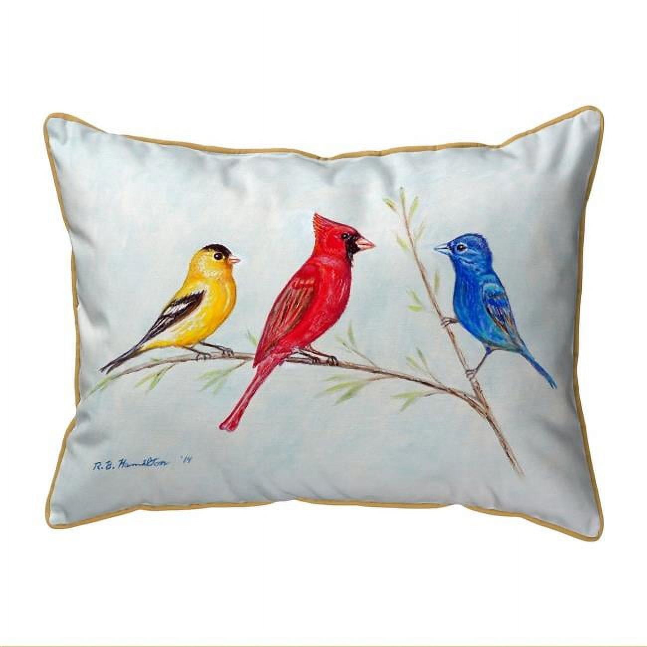 11 x 14 in. Three Birds Small Indoor & Outdoor Pillow