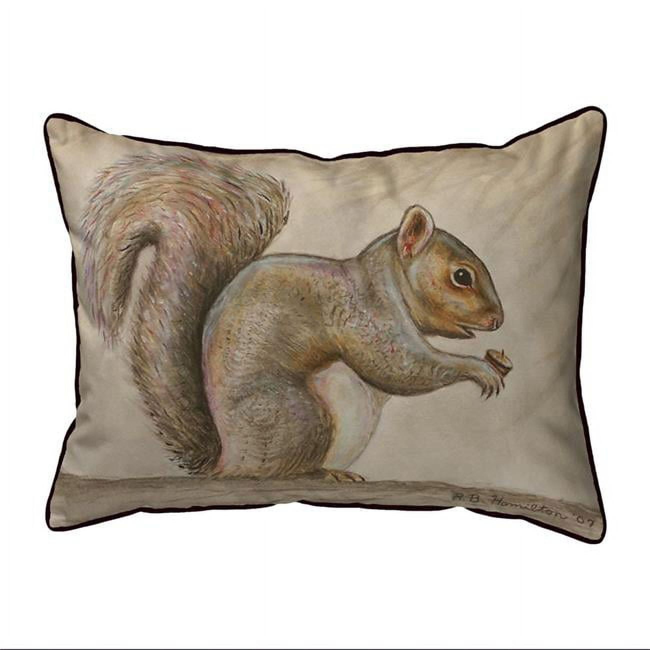 11 x 14 in. Squirrel Small Indoor & Outdoor Pillow