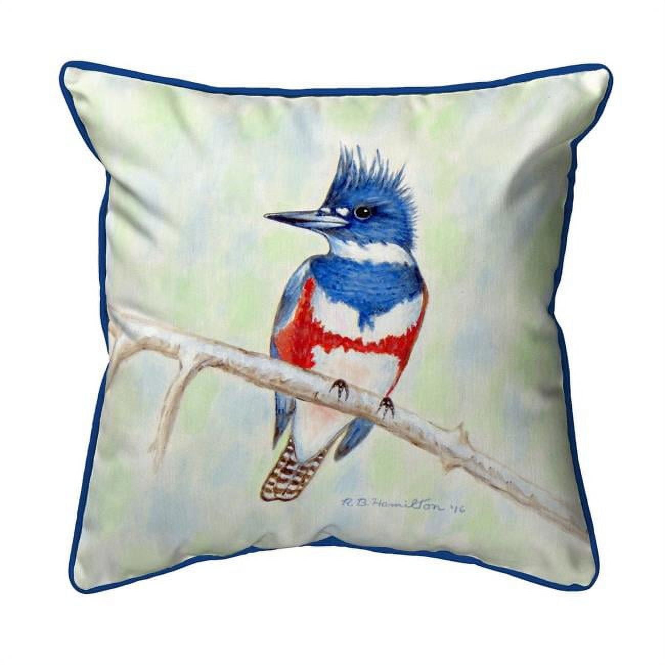 12 x 12 in. Kingfisher Small Indoor & Outdoor Pillow