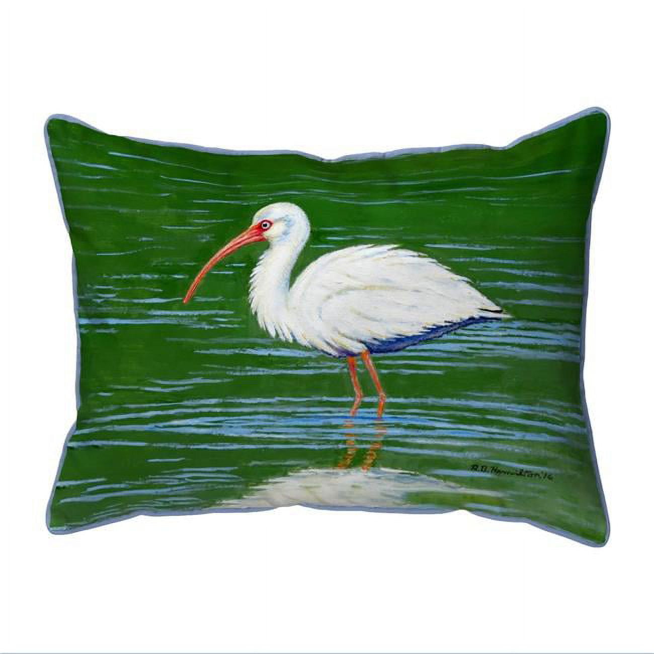 11 x 14 in. Dicks White Ibis Small Indoor & Outdoor Pillow