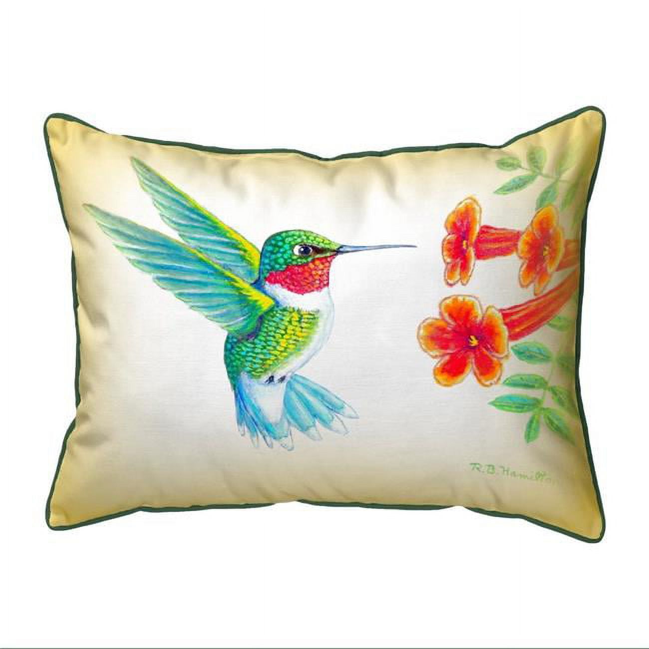 16 x 20 in. Dicks Hummingbird Large Indoor & Outdoor Pillow