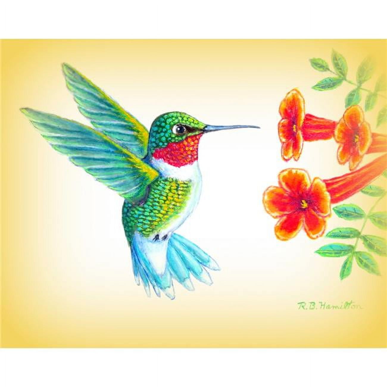 Picture of Betsy Drake PM1093 Dicks Hummingbird Place Mat - Set of 4