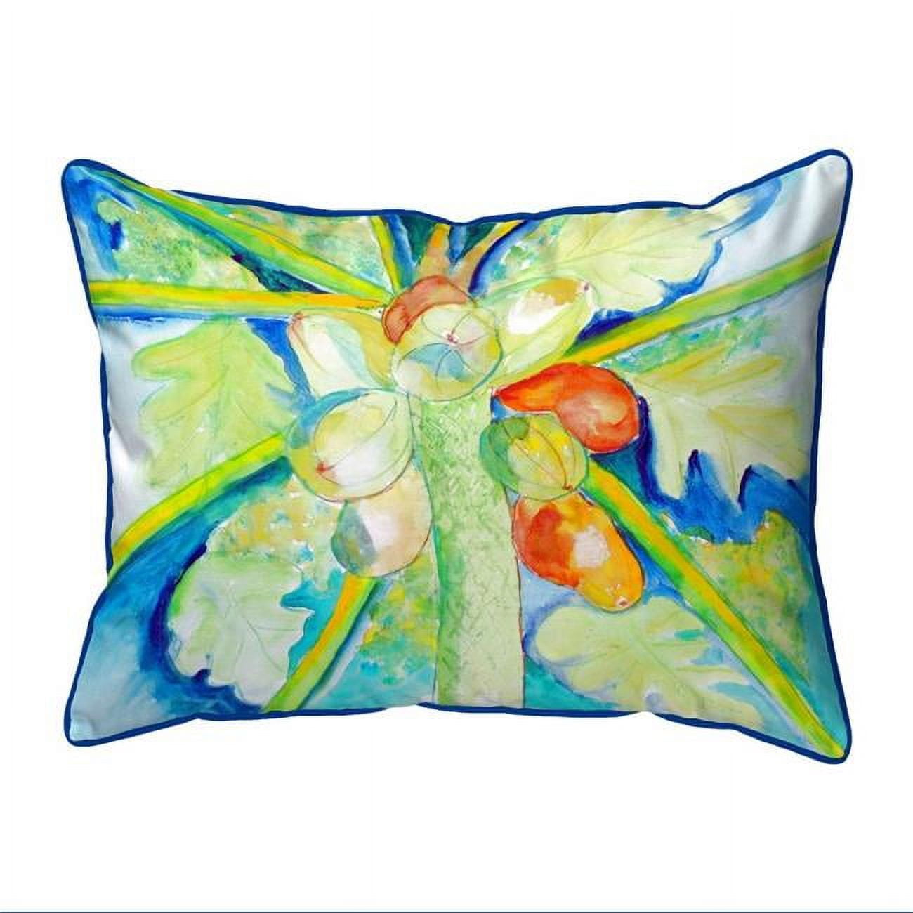 20 x 24 in. Big Cocoa Nuts Extra Large Zippered Indoor & Outdoor Pillow