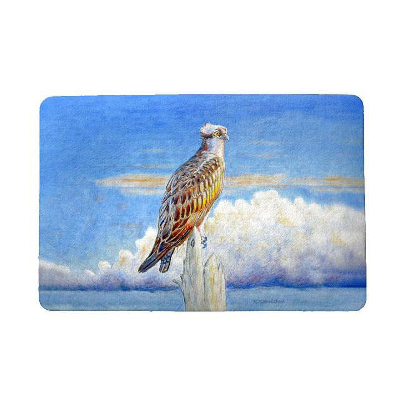 18 x 26 in. Osprey Storm Door Mat