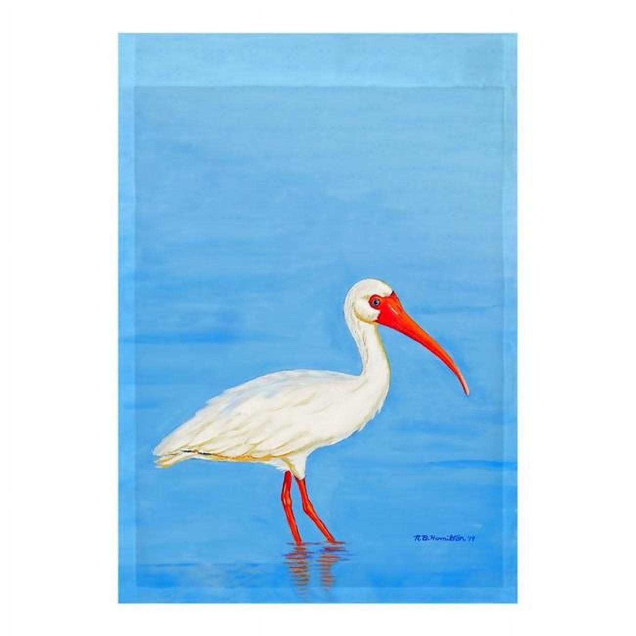 12.5 x 18 in. Posing White Ibis Flag
