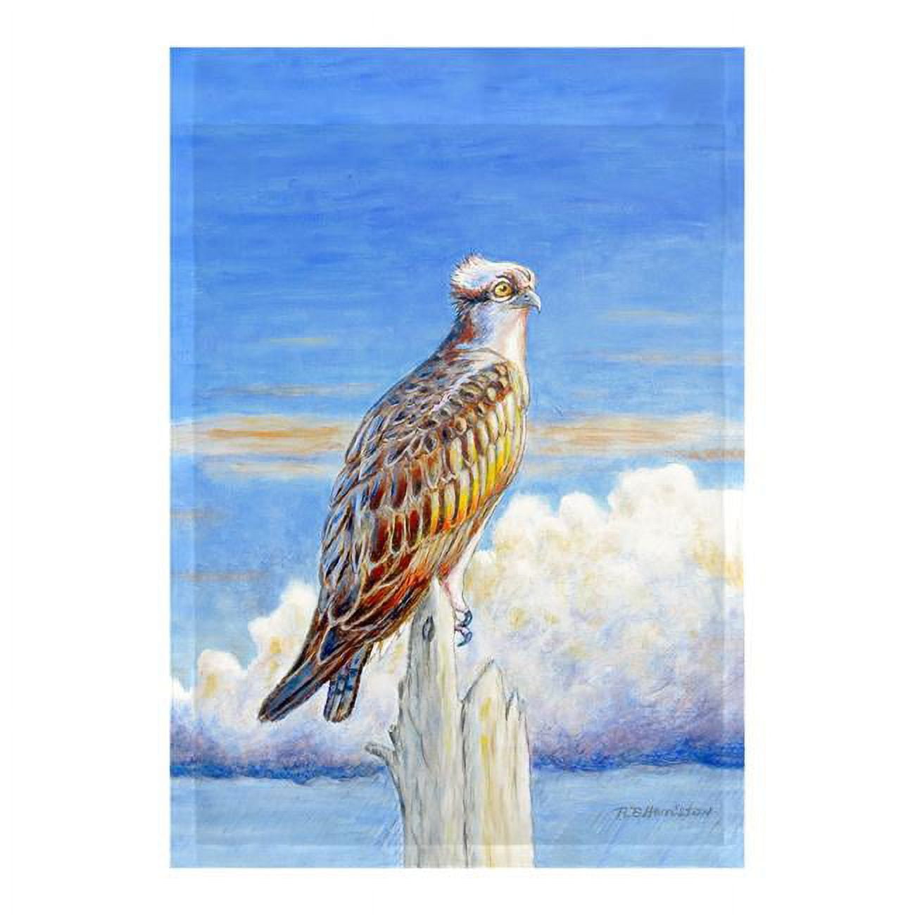 12.5 x 18 in. Osprey Storm Flag
