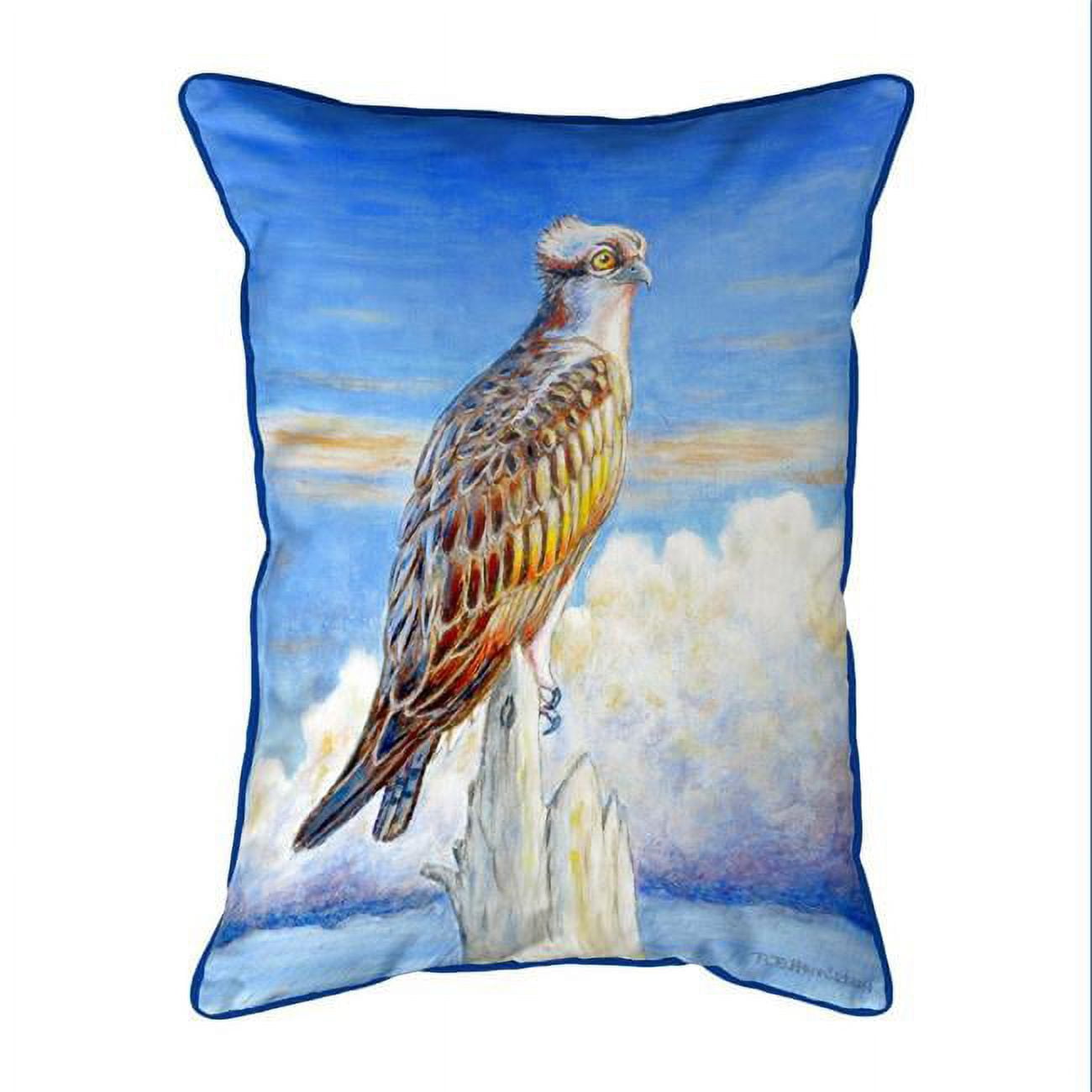20 x 24 in. Osprey Storm Extra Large Zippered Indoor & Outdoor Pillow