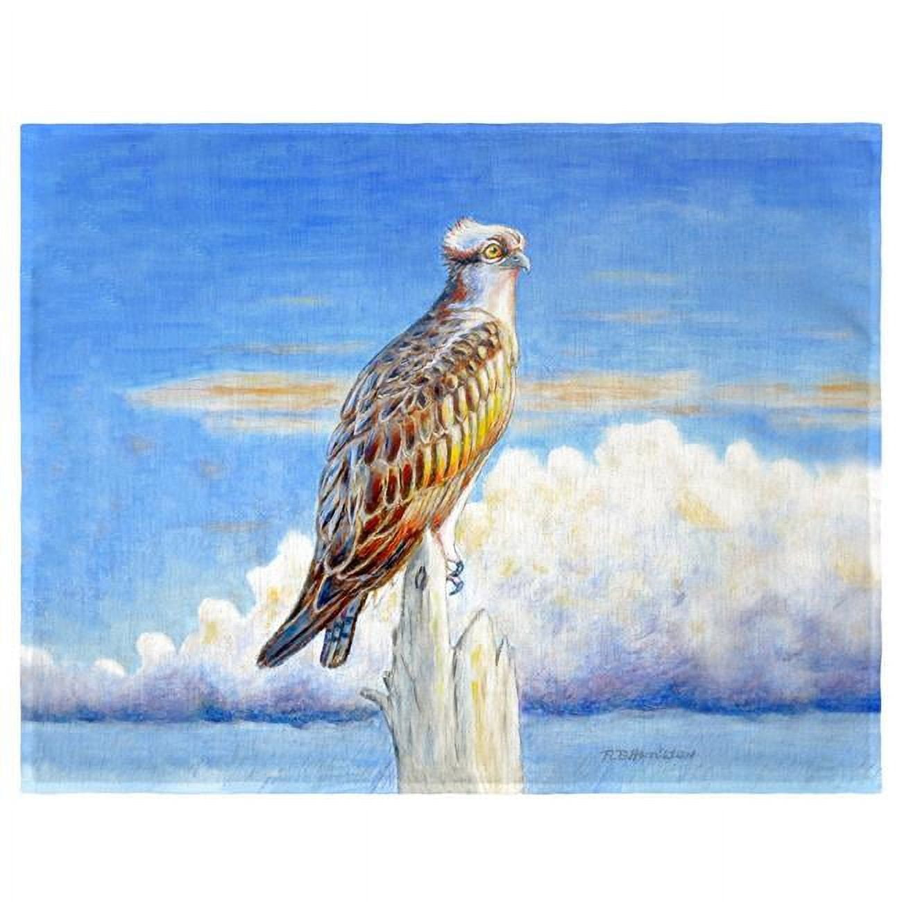 Picture of Betsy Drake PM1109 Osprey Storm Place Mat - Set of 4