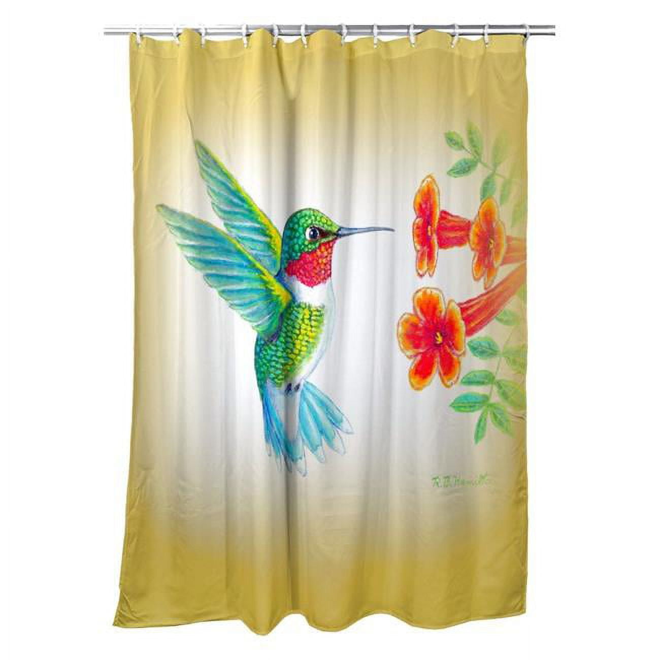 Dicks Hummingbird Shower Curtain