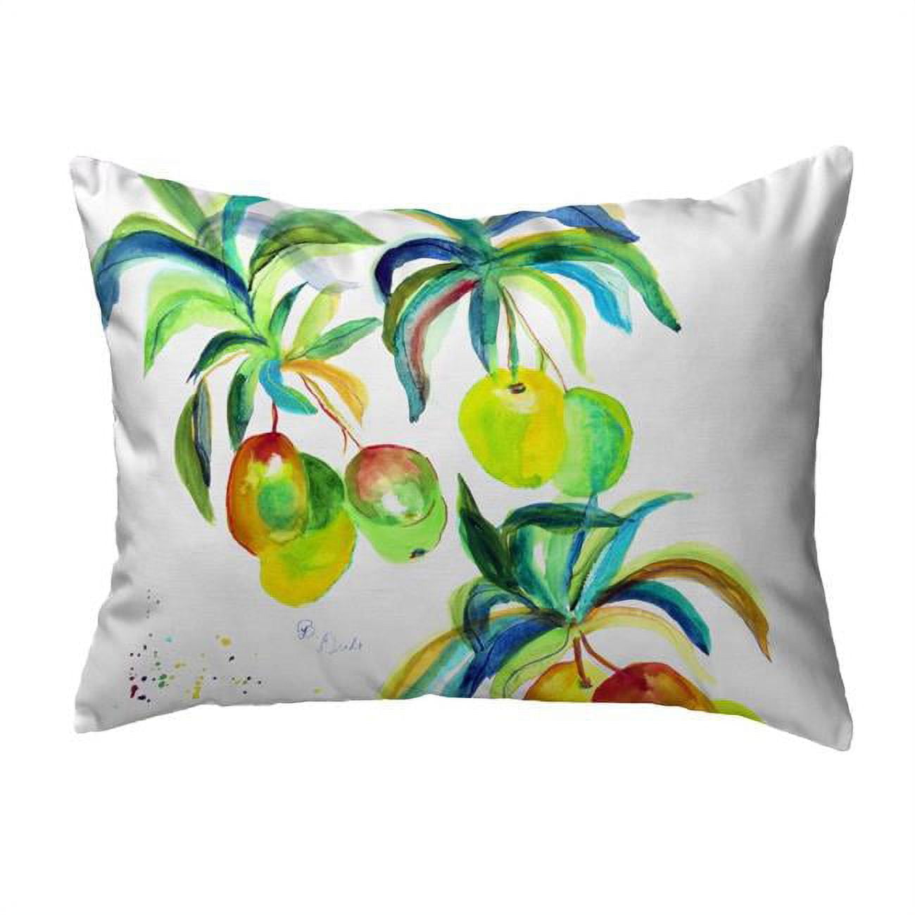 16 x 20 in. Mangos No Cord Pillow