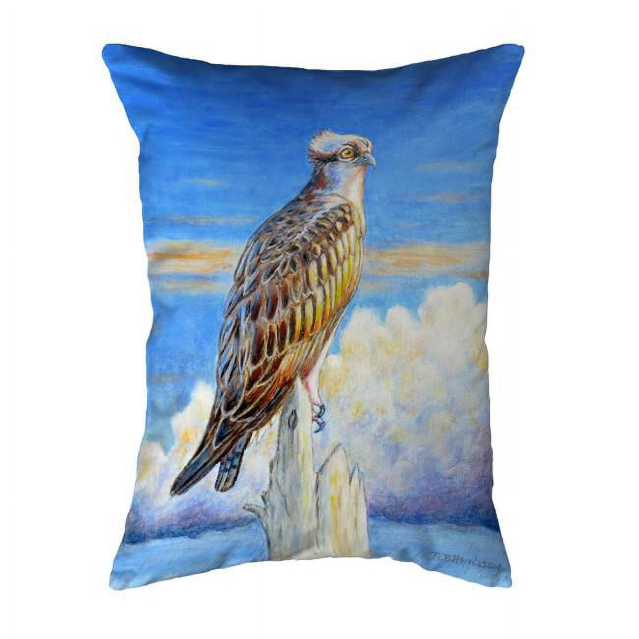16 x 20 in. Osprey Storm No Cord Pillow