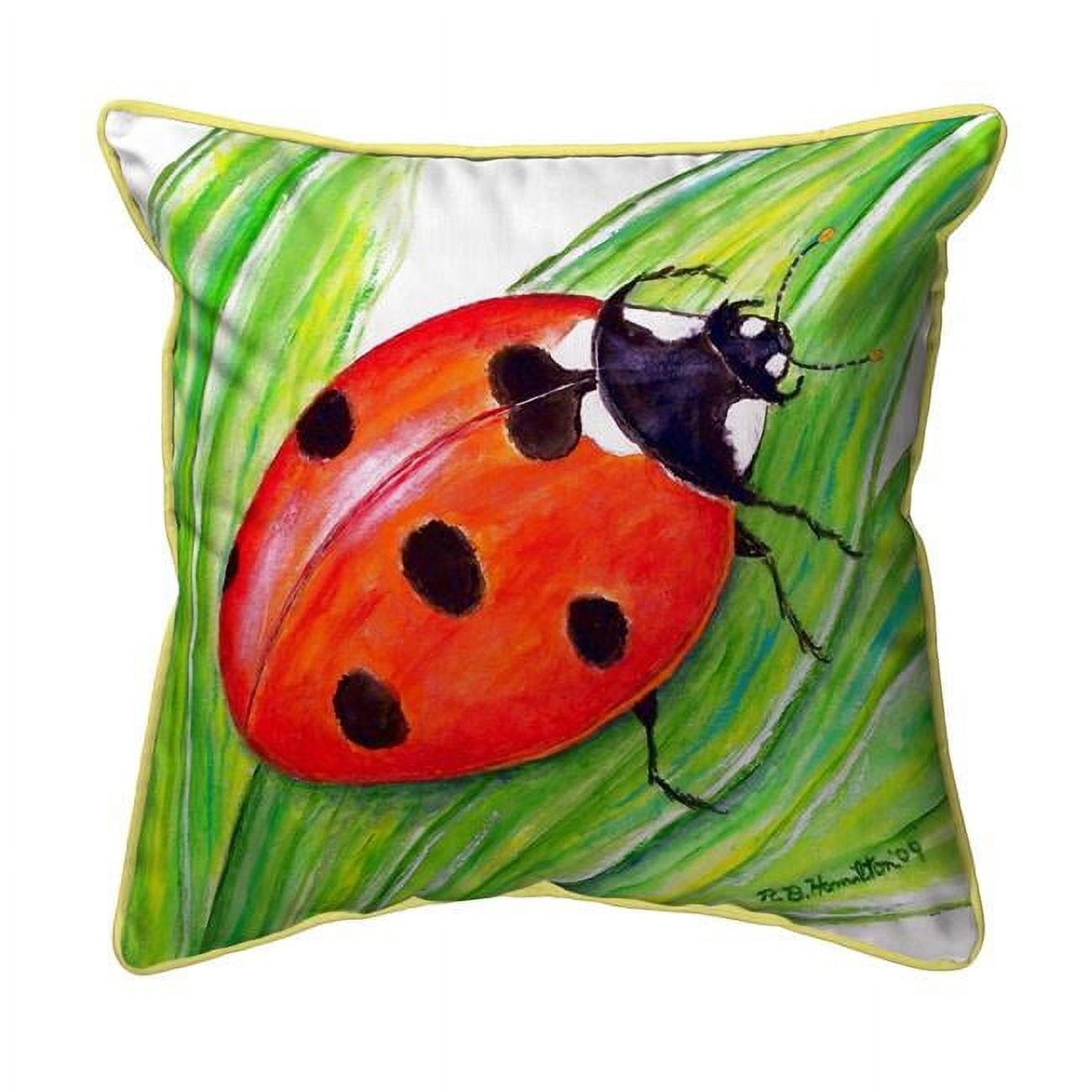 12 x 12 in. Ladybug Small Indoor & Outdoor Pillow