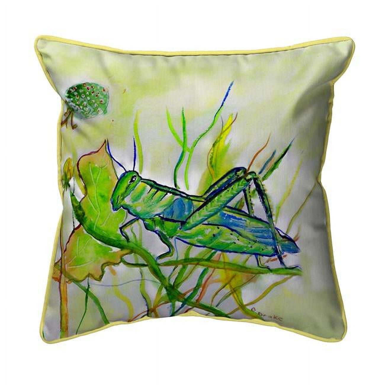 12 x 12 in. Grasshopper Small Indoor & Outdoor Pillow