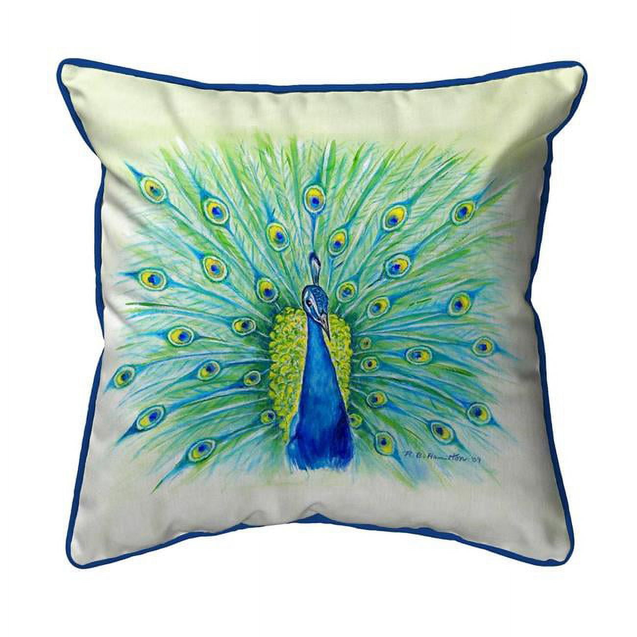 12 x 12 in. Peacock Small Indoor & Outdoor Pillow