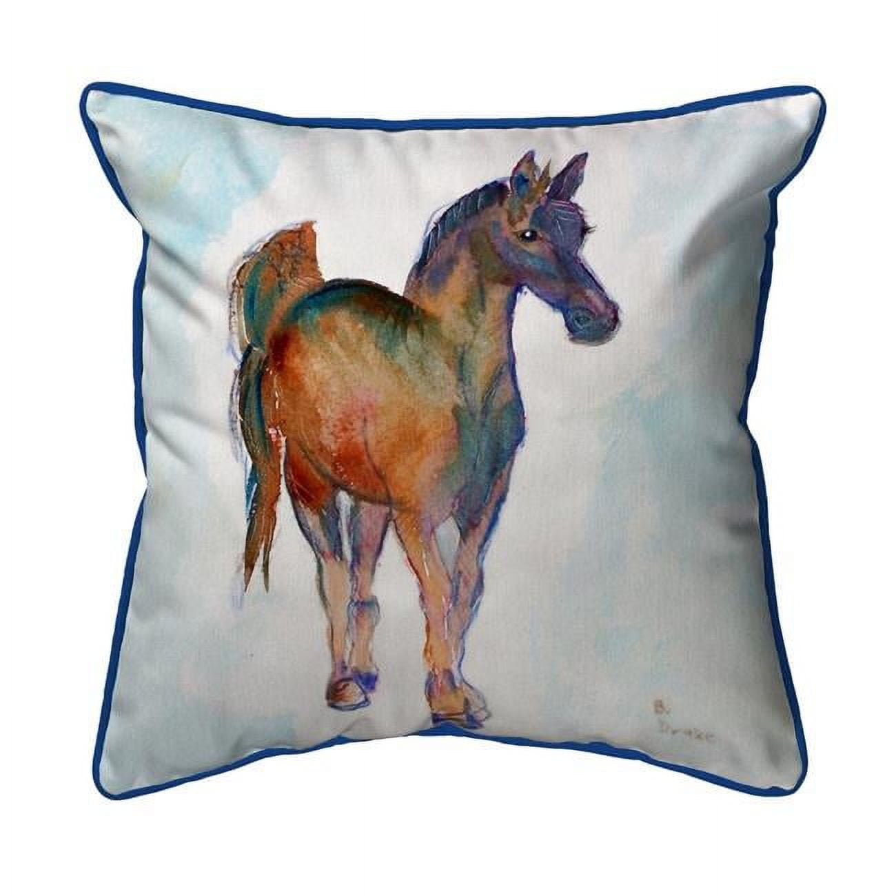 12 x 12 in. Colt Small Indoor & Outdoor Pillow