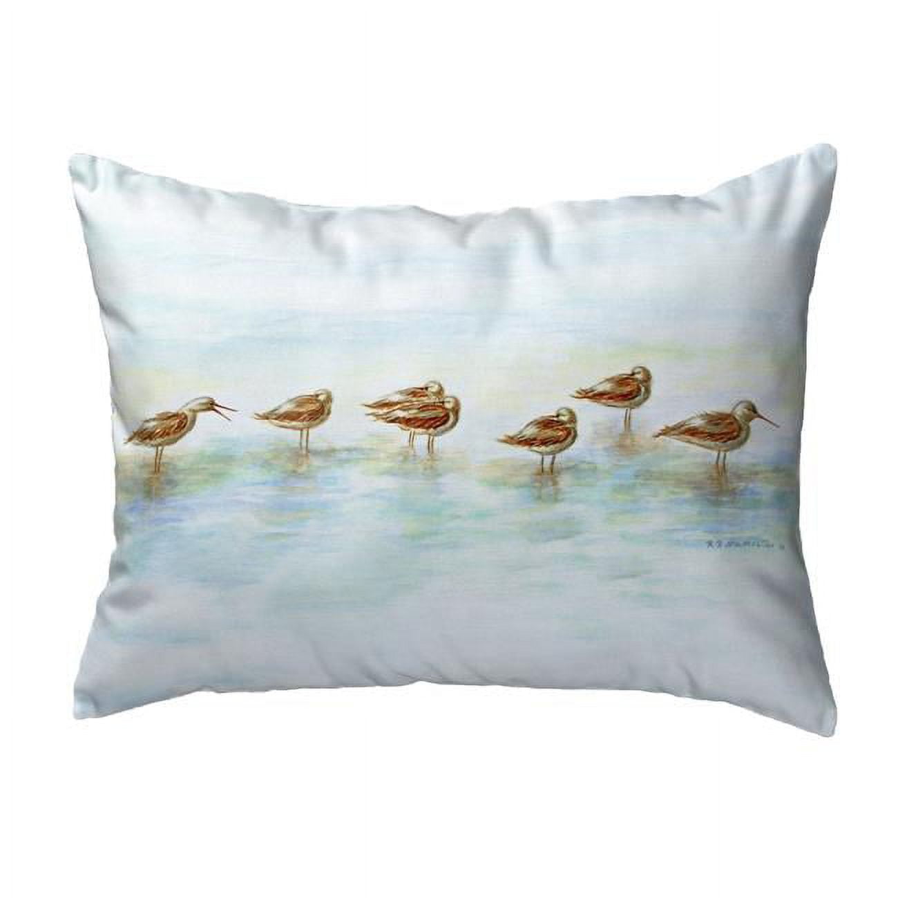11 x 14 in. Avocets Small No-Cord Pillow