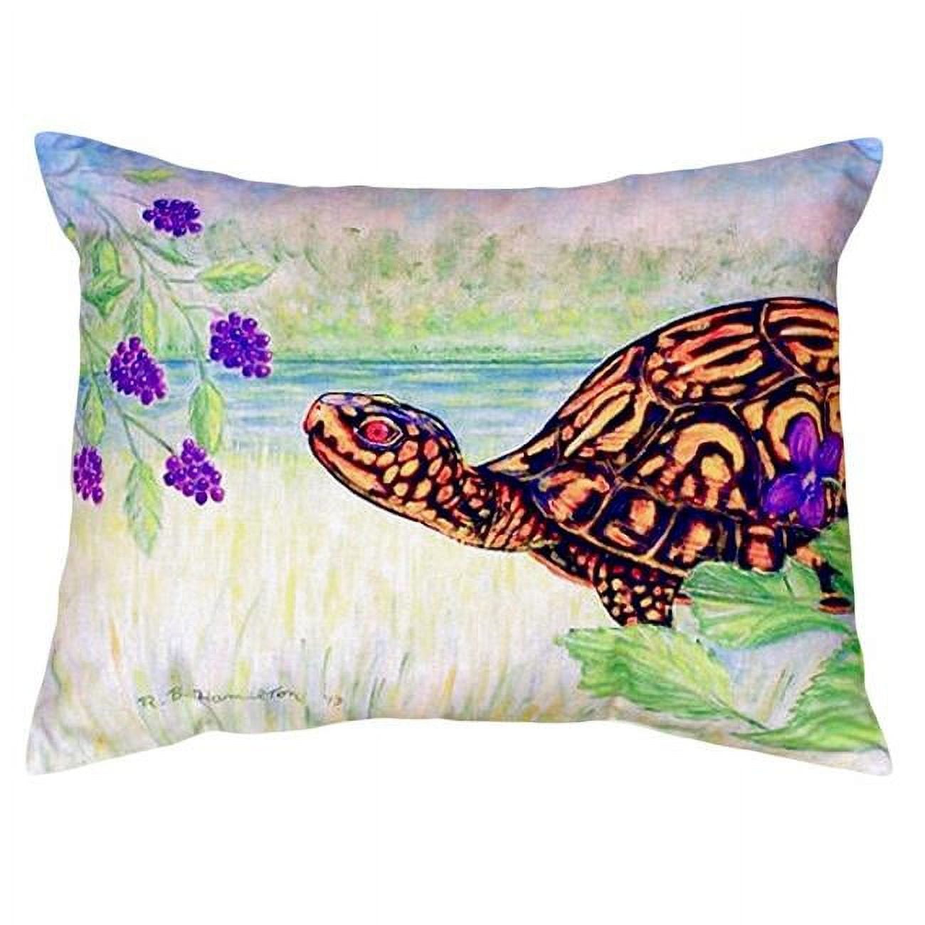11 x 14 in. Turtle & Berries Small No-Cord Pillow