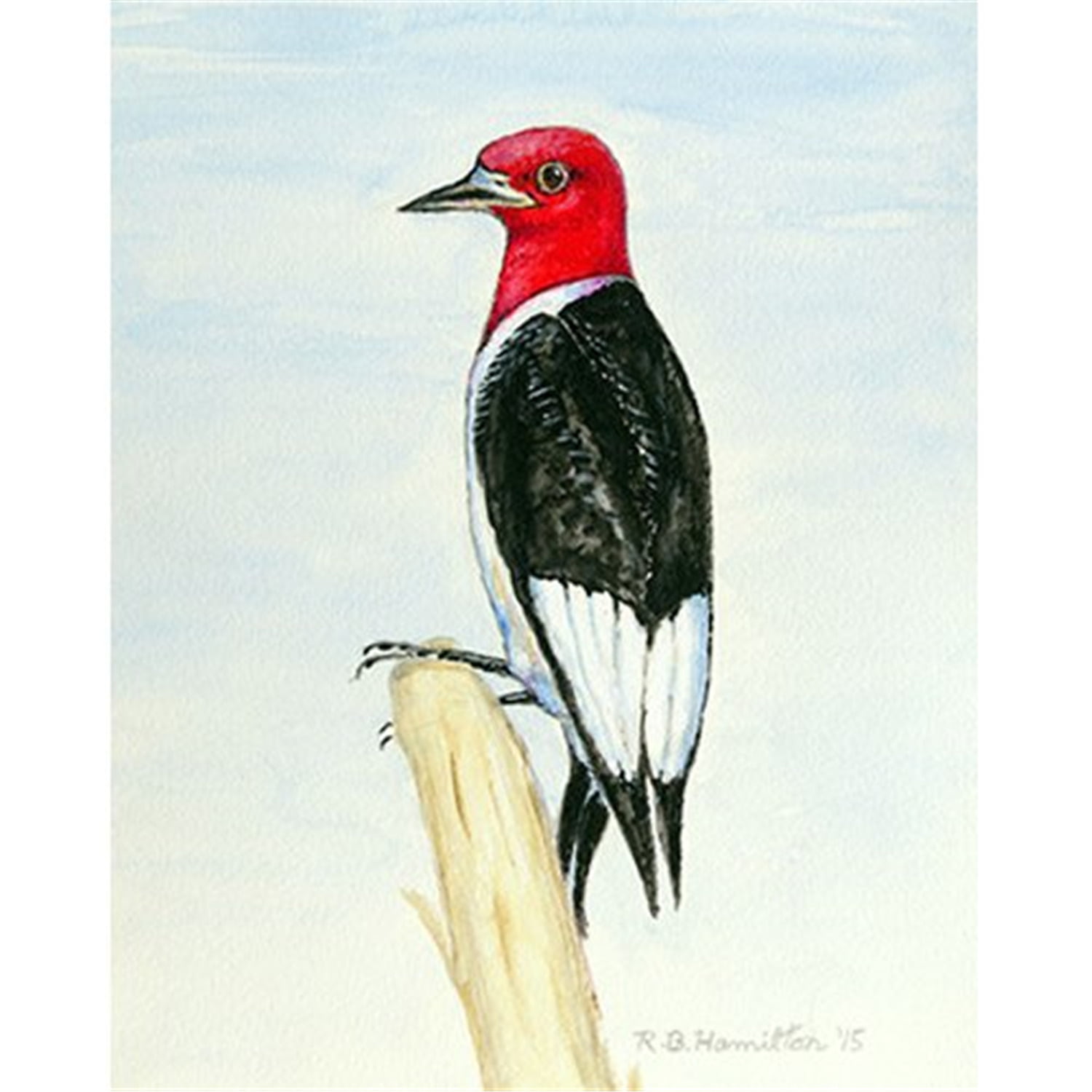 24 x 30 in. Woodpecker Outdoor Wall Hanging