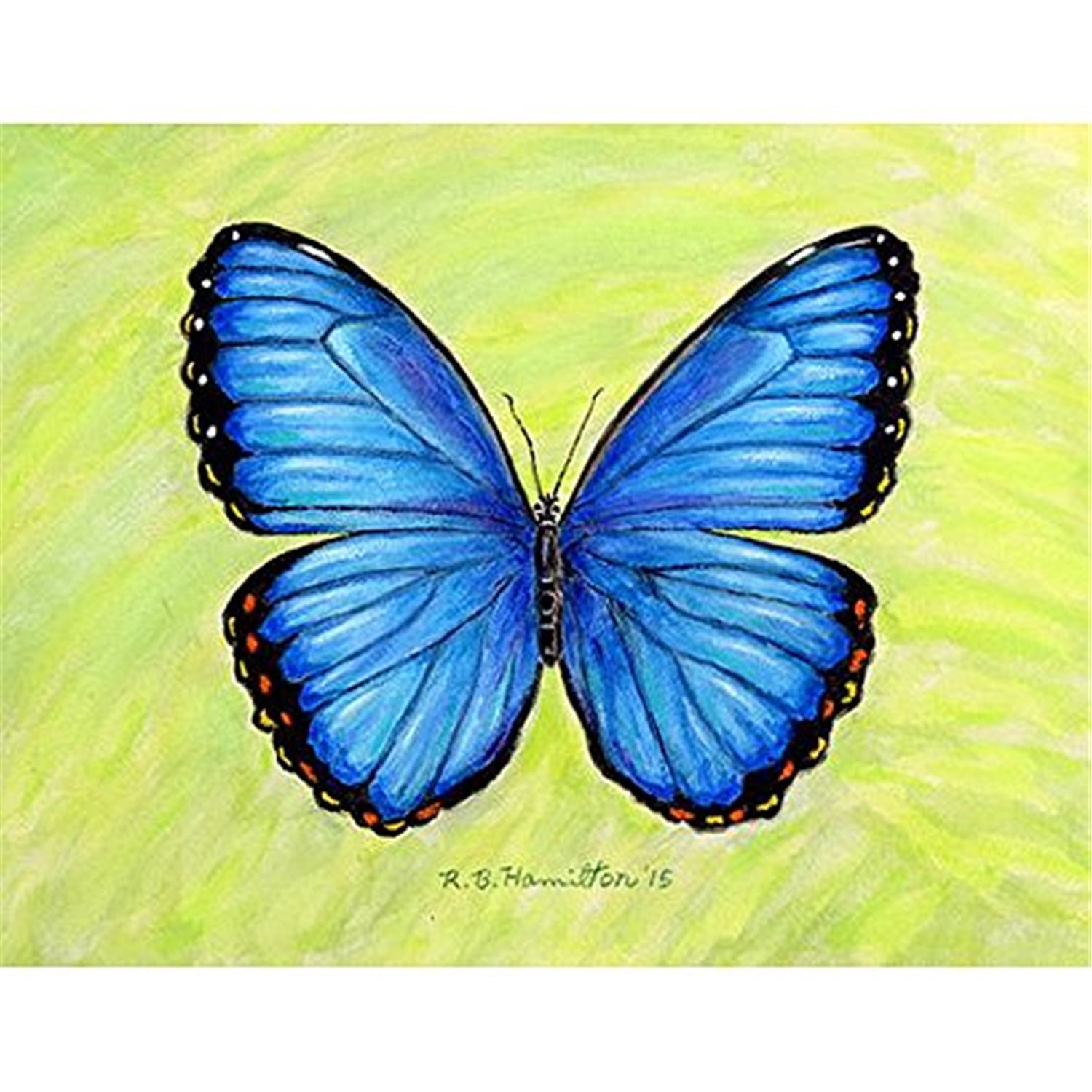 24 x 30 in. Dicks Blue Morpho Outdoor Wall Hanging