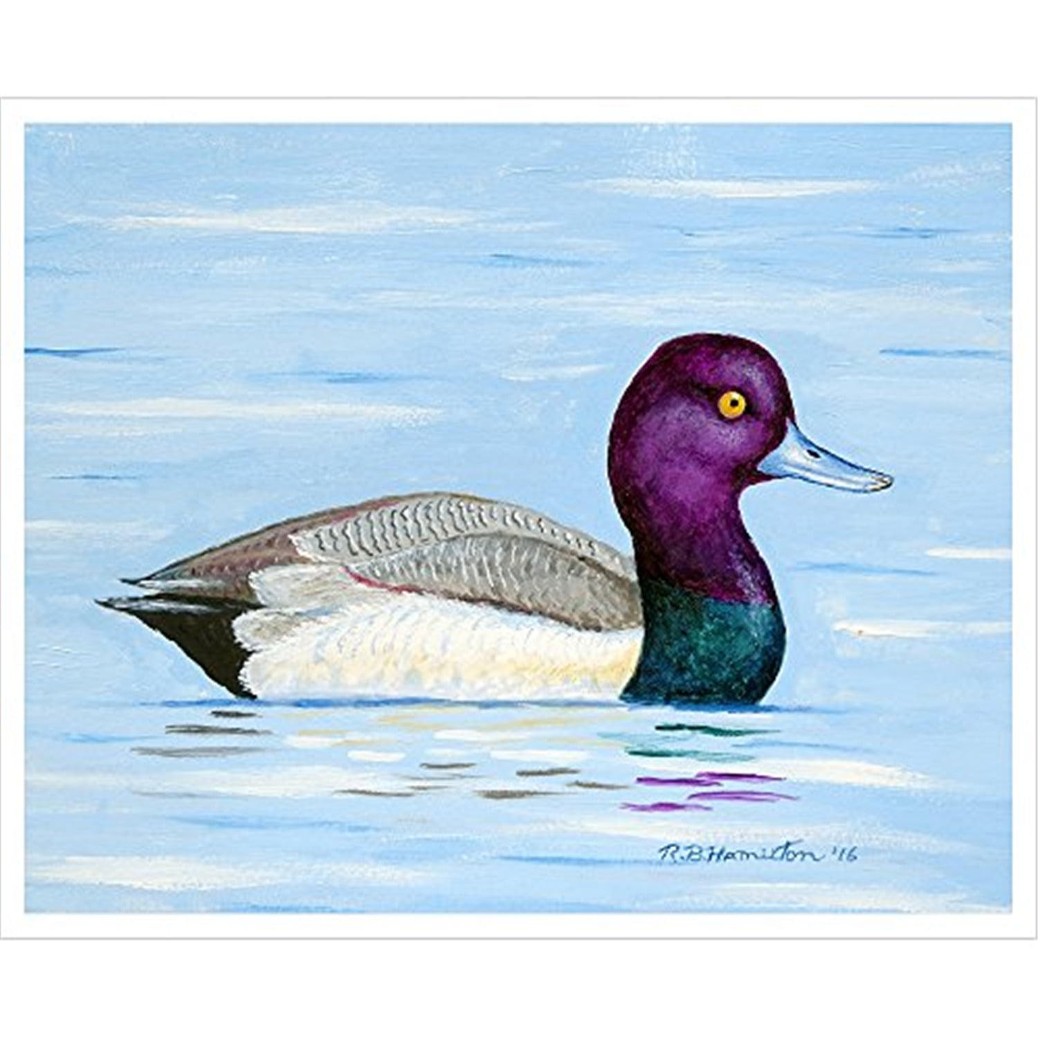 24 x 30 in. Lesser Scaup Outdoor Wall Hanging