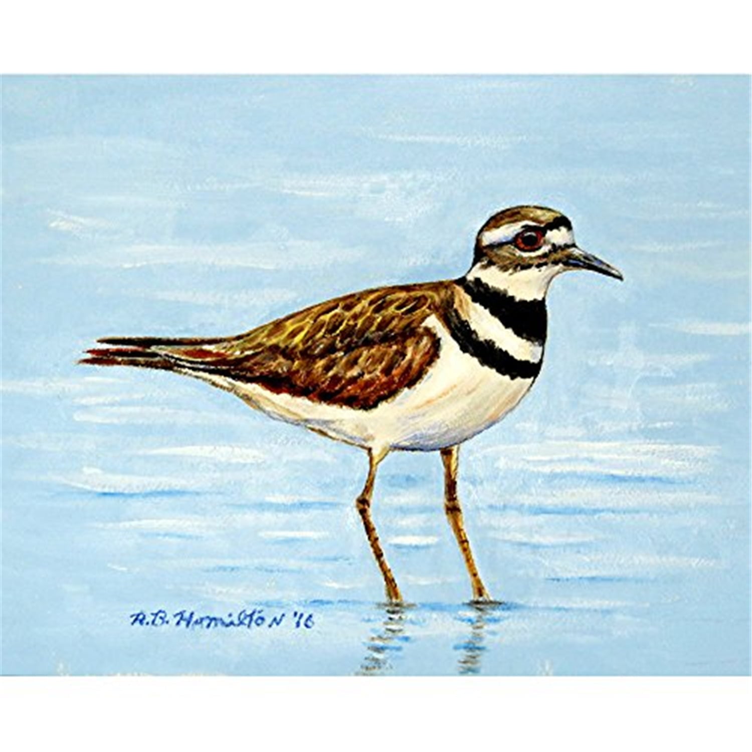 24 x 30 in. Killdeer Outdoor Wall Hanging