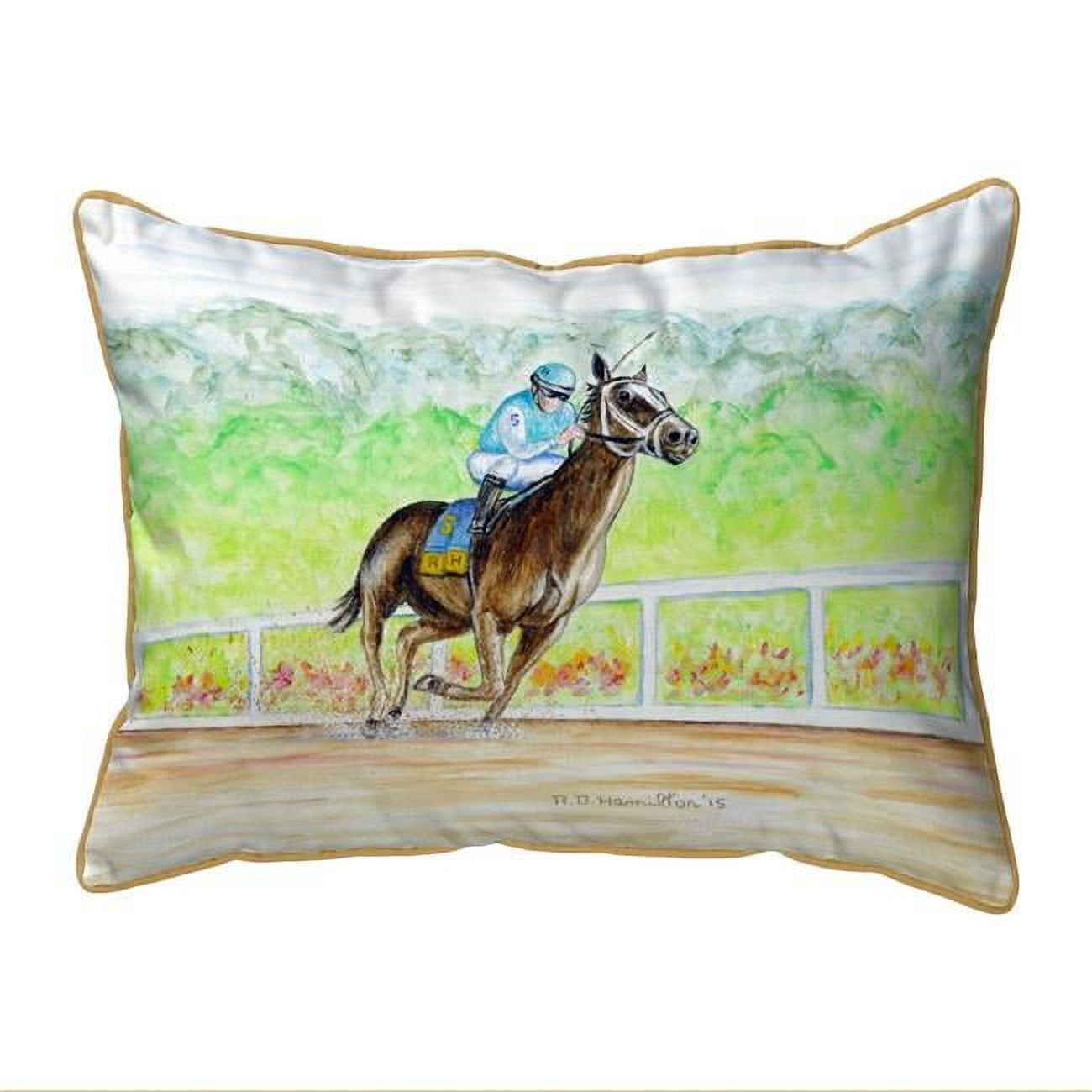 20 x 24 in. Home Stretch Extra Large Zippered Pillow