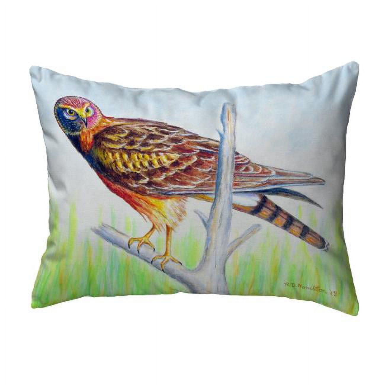 11 x 14 in. Marsh Hawk Non-Corded Indoor & Outdoor Pillow