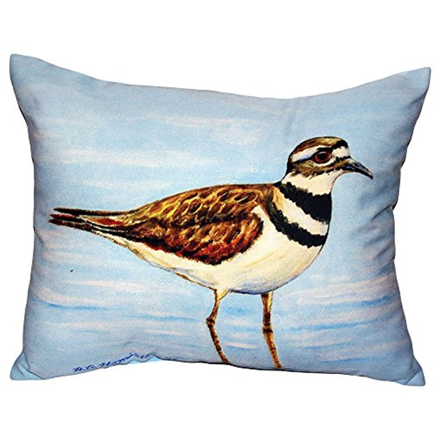20 x 24 in. Killdeer Extra Large Zippered Pillow