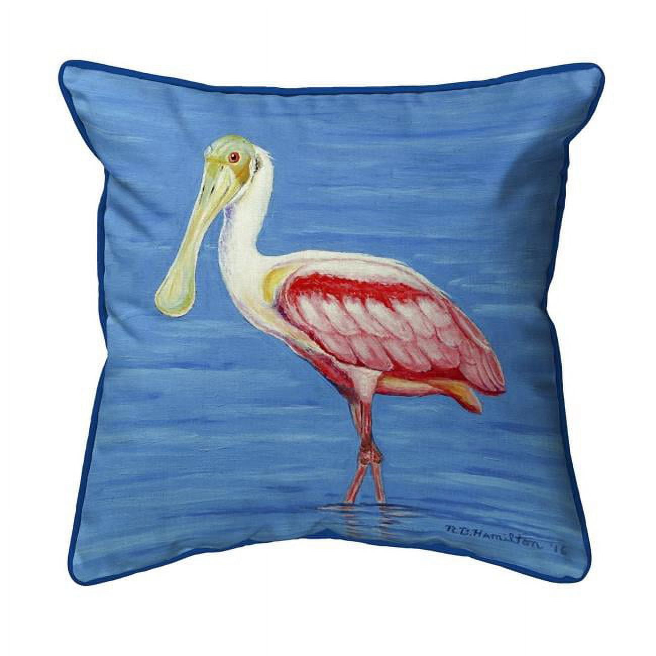 22 x 22 in. Dicks Spoonbill Extra Large Zippered Pillow