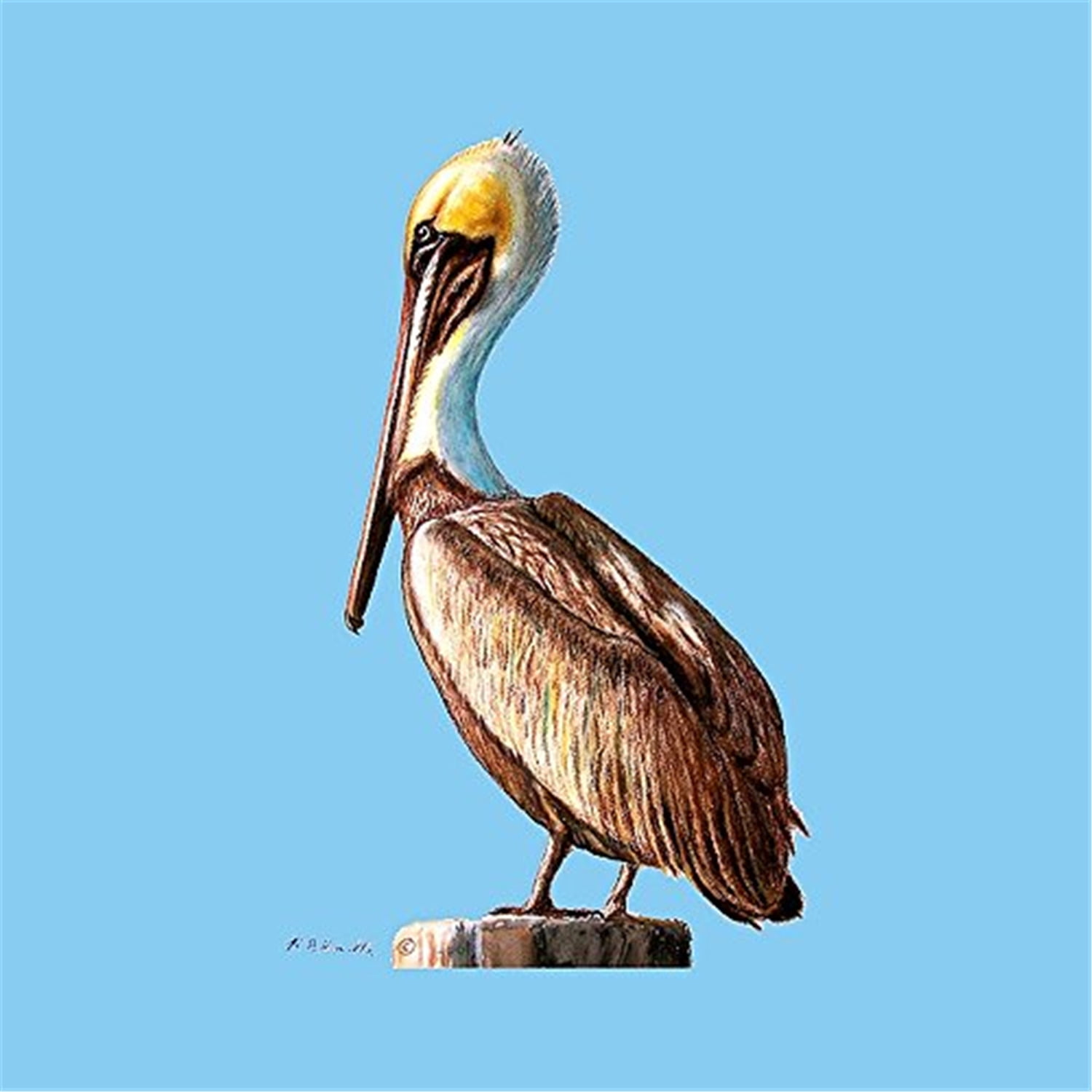 Picture of Betsy Drake CT035 Pelican Coasters - Set of 4