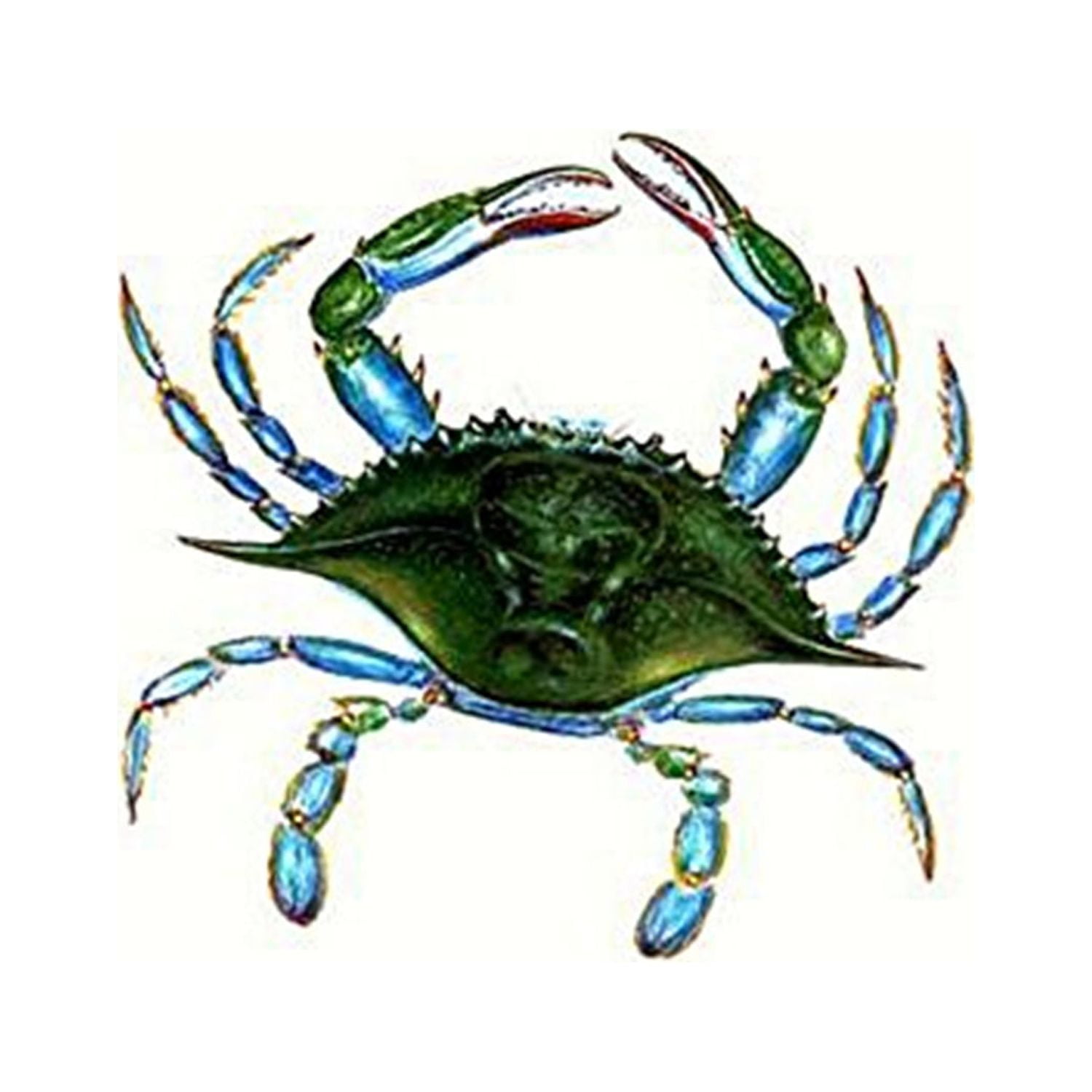 12.5 x 18 in. Female Blue Crab Flag