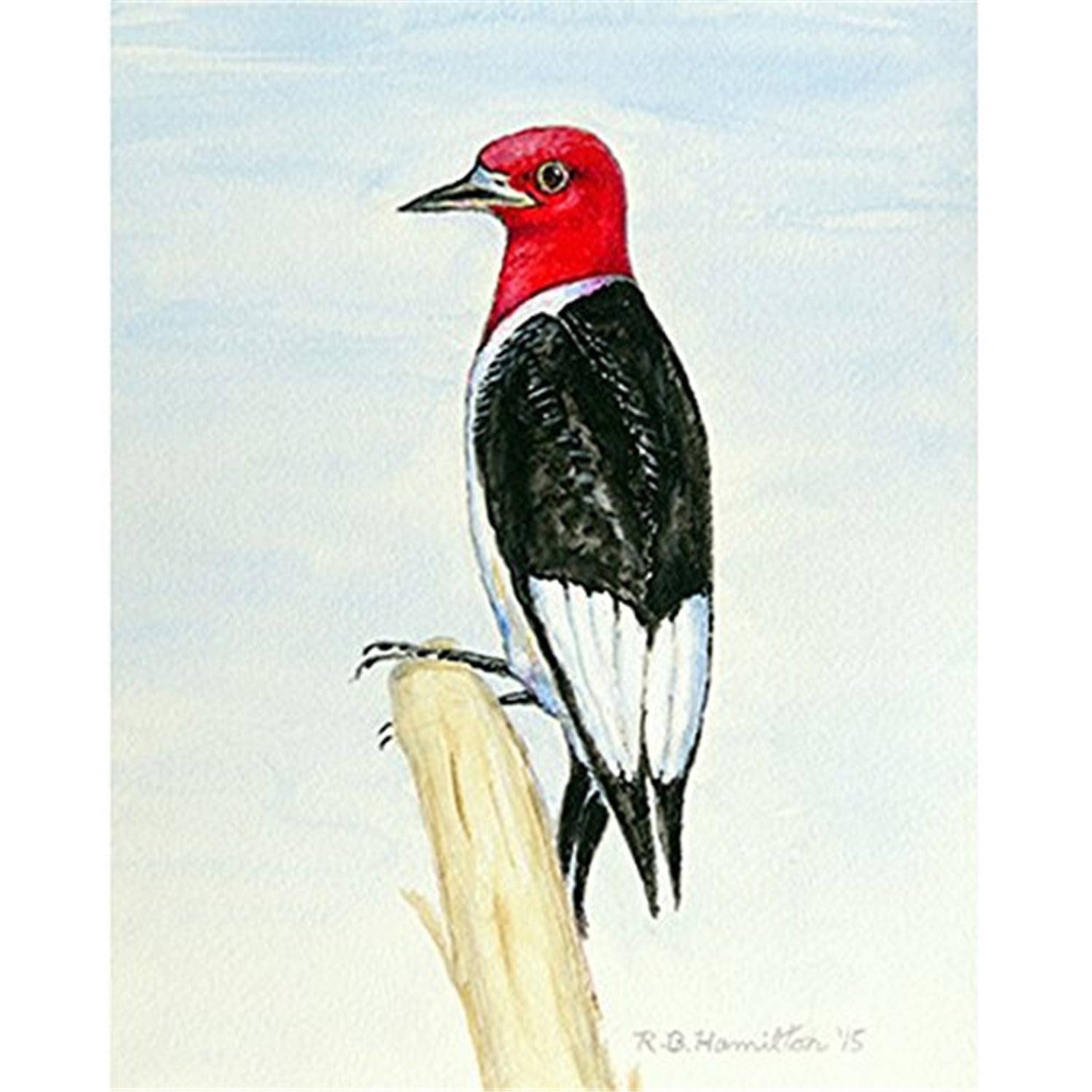 12.5 x 18 in. Woodpecker Flag