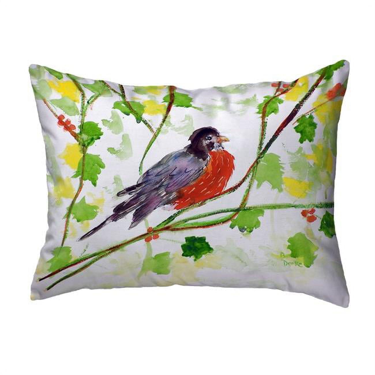 KS164 11 x 14 in. Robin Small No-Cord Pillow