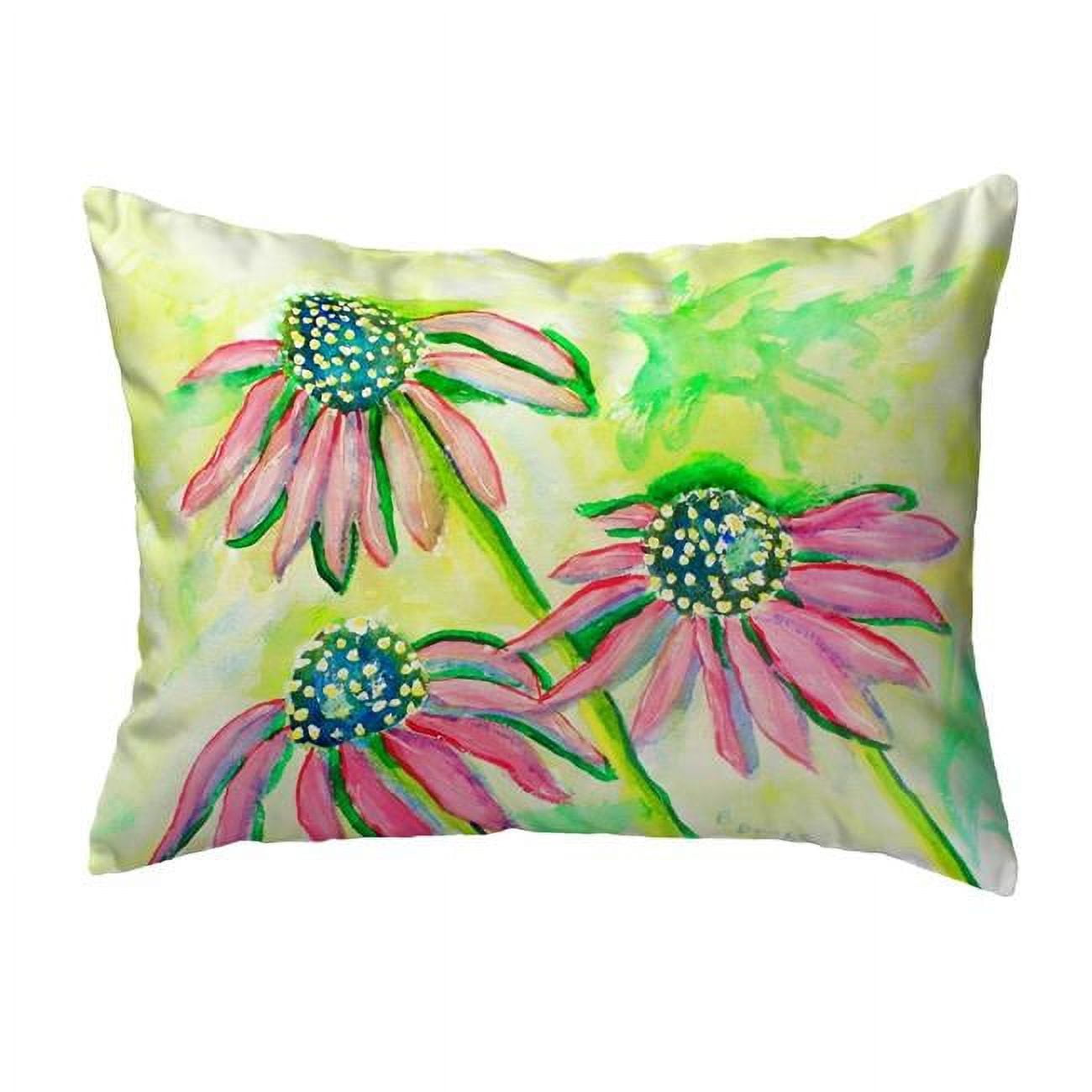11 x 14 in. Cone Flowers Small No-Cord Pillow