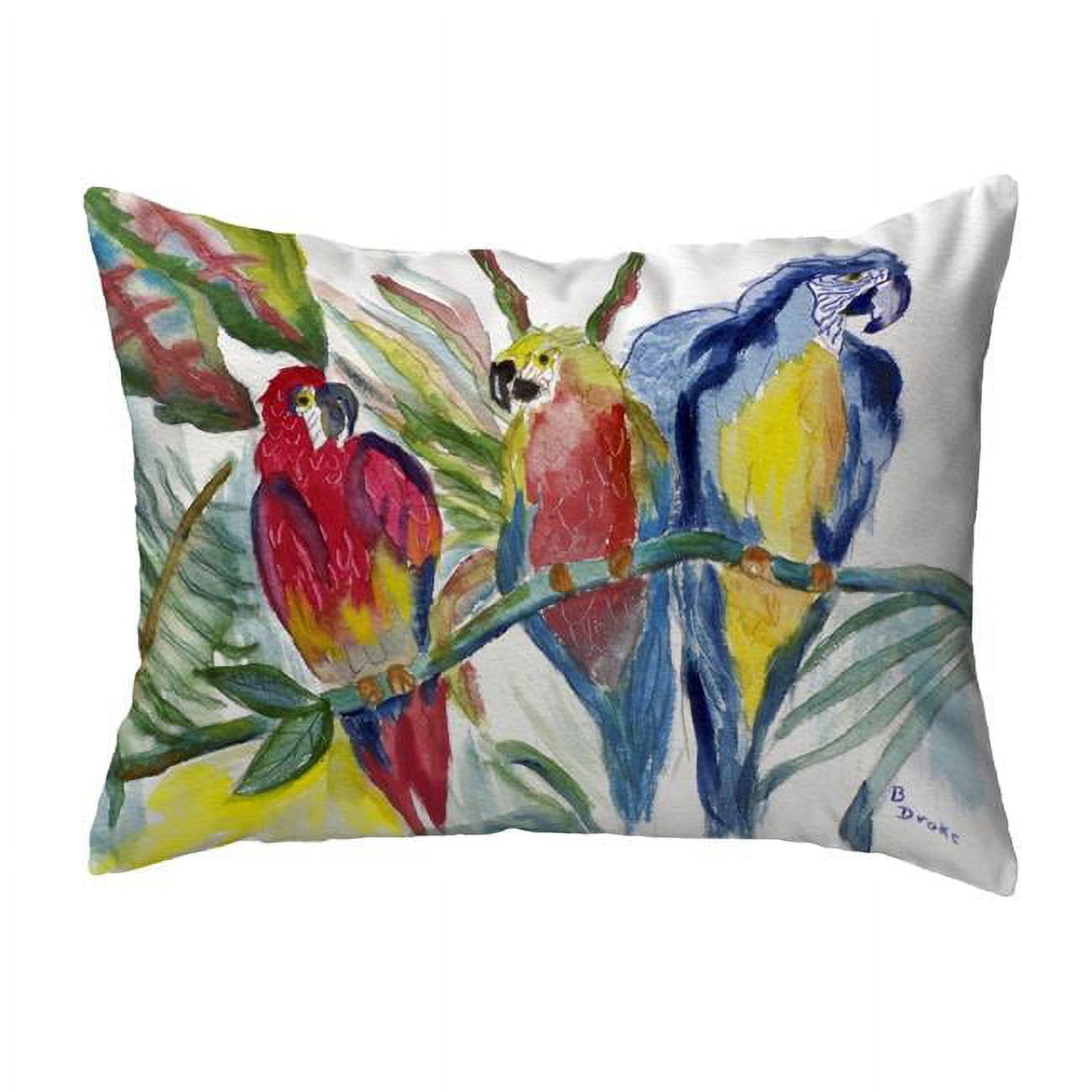 11 x 14 in. Parrot Family Small No-Cord Pillow