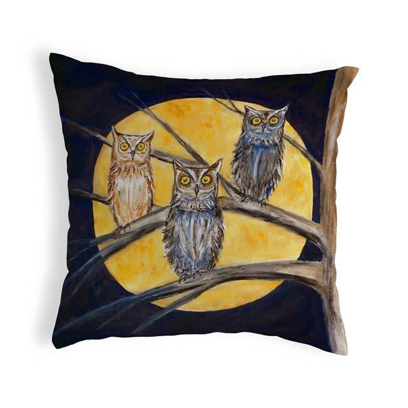 12 x 12 in. Night Owls Small No-Cord Pillow