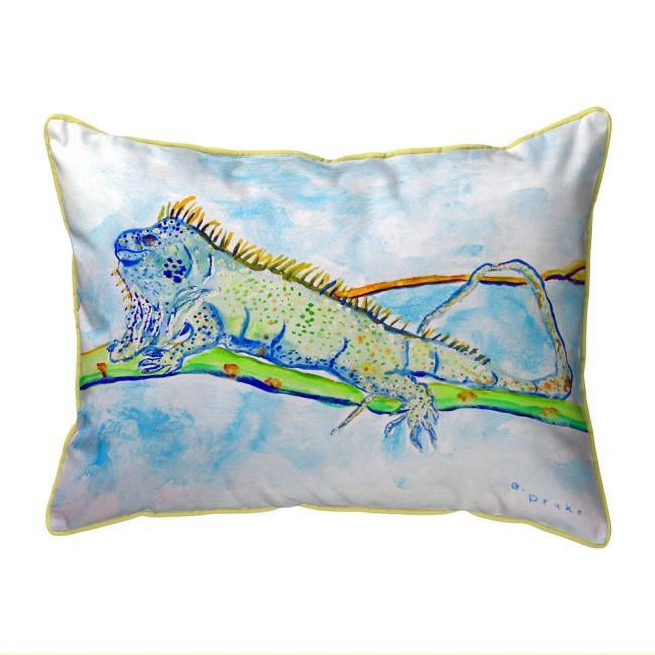 20 x 24 in. Iguana Extra Large Pillow