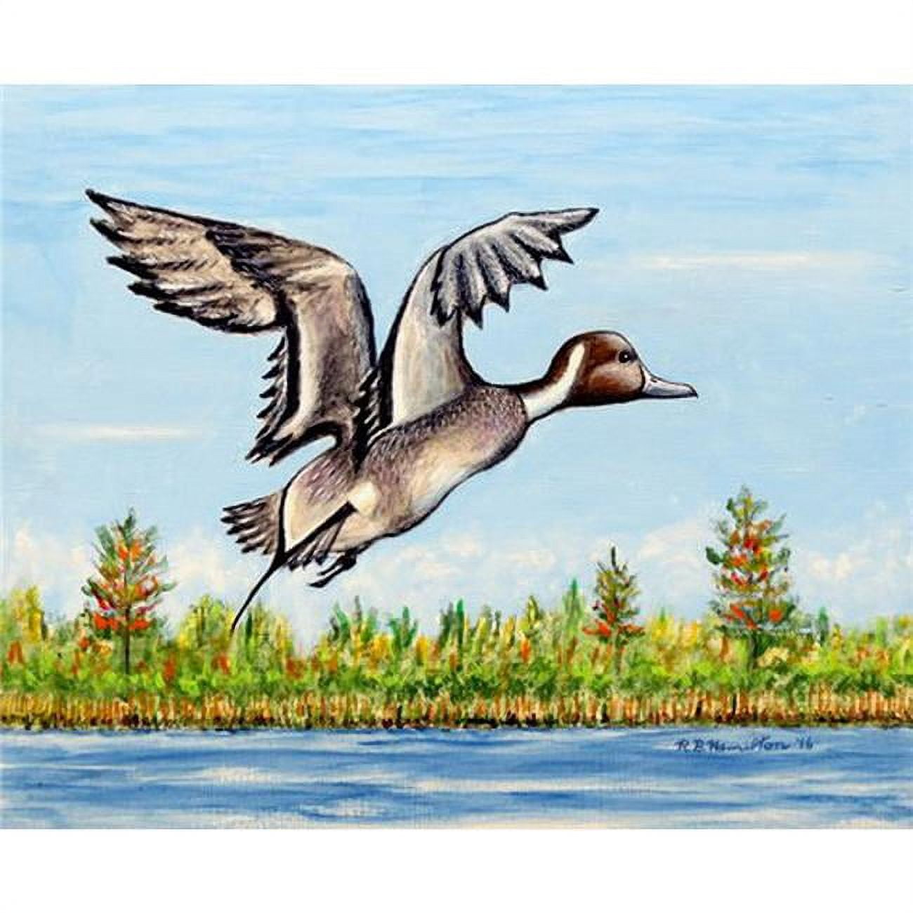 Pintail Duck Place Mat - Set of 4